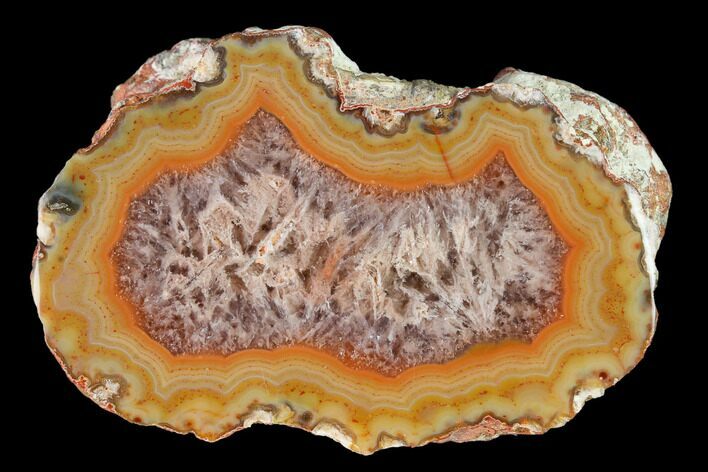 Colorful, Polished Condor Agate Section - Argentina #145516